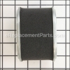 Dual Element Air Cleaner - 17210-Z4M-821:Honda
